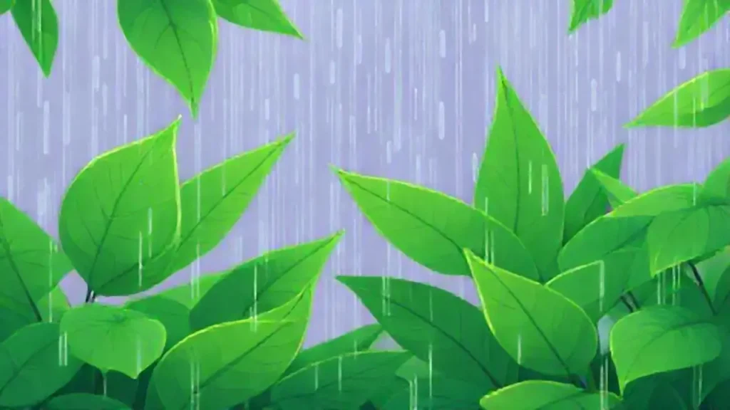 Hojas verdes bajo la lluvia