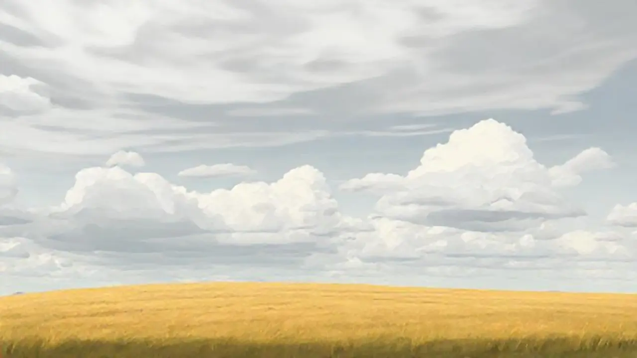 Cielo nublado sobre el campo