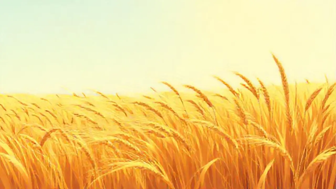 Campo de trigo dorado se extiende