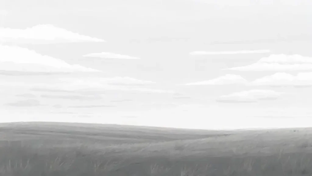 Cielo gris sobre campo