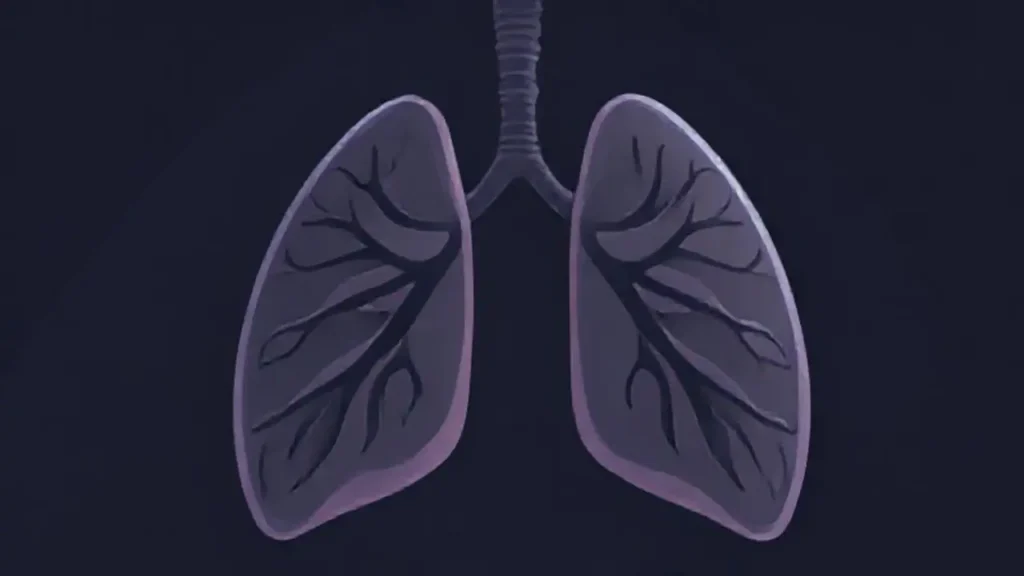 Pulmones grises se desvanecen en la oscuridad