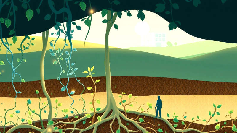 Conexión natural y cuidado silencioso florecen