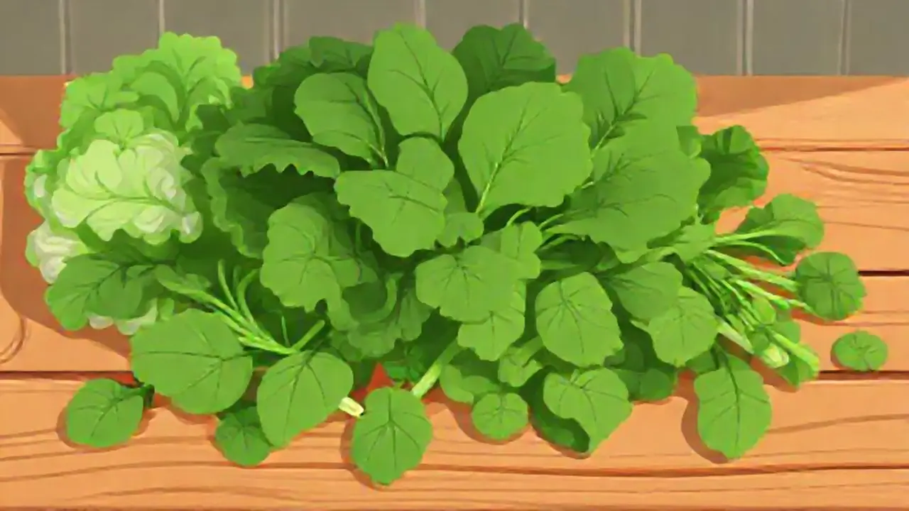 Hojas verdes sobre madera