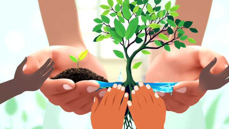Salud bucal: crecimiento