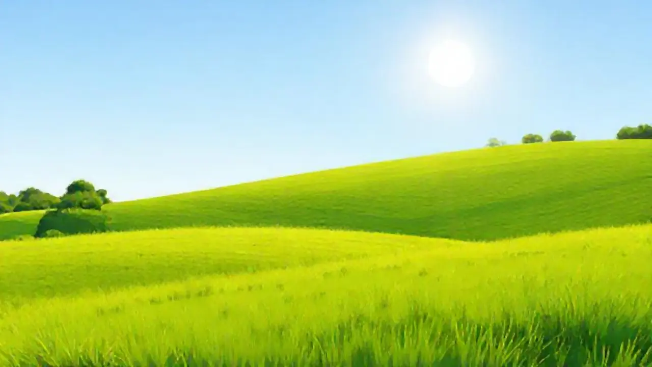 Campo verde bajo el sol