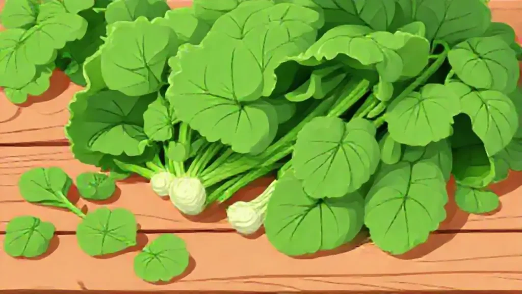 Hojas verdes sobre madera