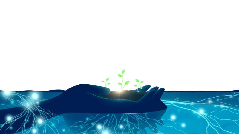 Salud y diagnóstico en armonioso equilibrio vital