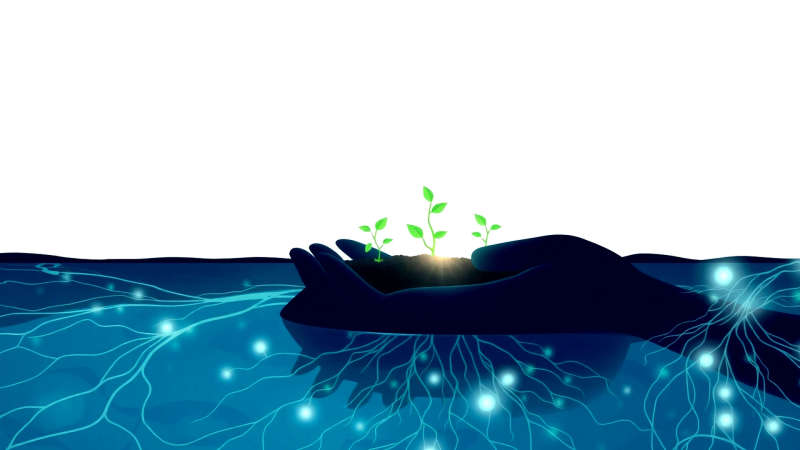 Salud y diagnóstico en armonioso equilibrio vital