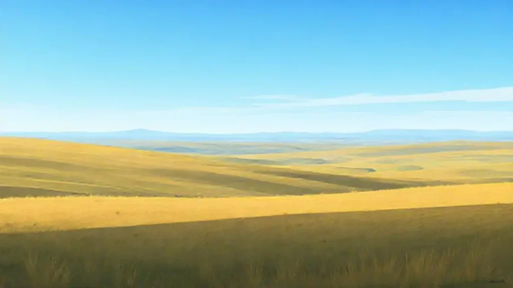 Cielo azul sobre un campo amplio