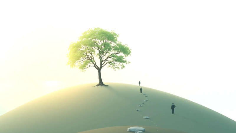 Un árbol joven simboliza esperanza y calma
