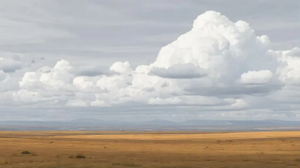 Nubes grises sobre un campo amplio