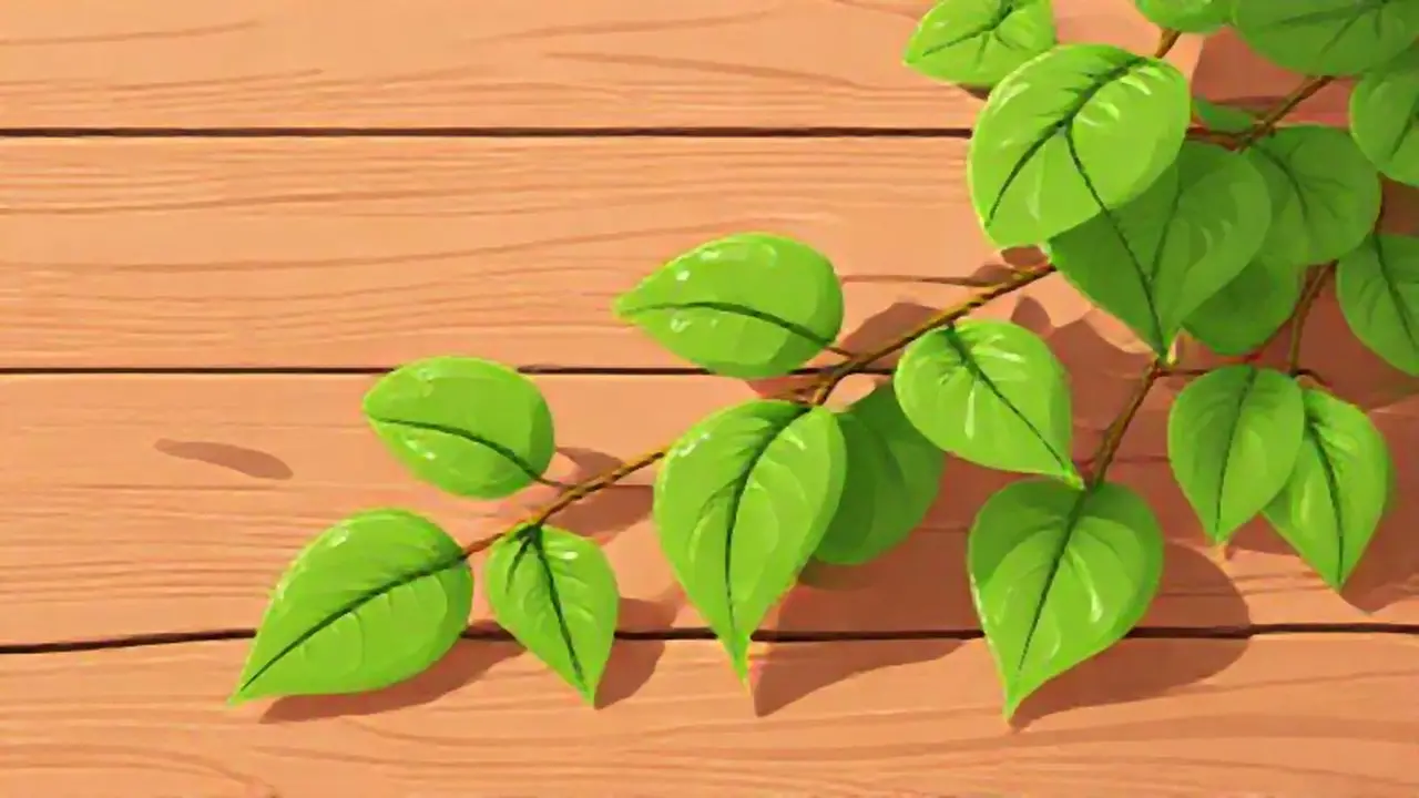 Hojas verdes sobre mesa de madera