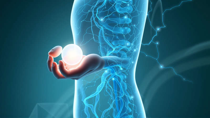 Cuerpo humano analizado con cuidado y armonía