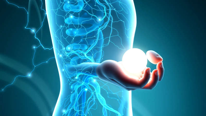 Cuerpo humano analizado con cuidado y armonía