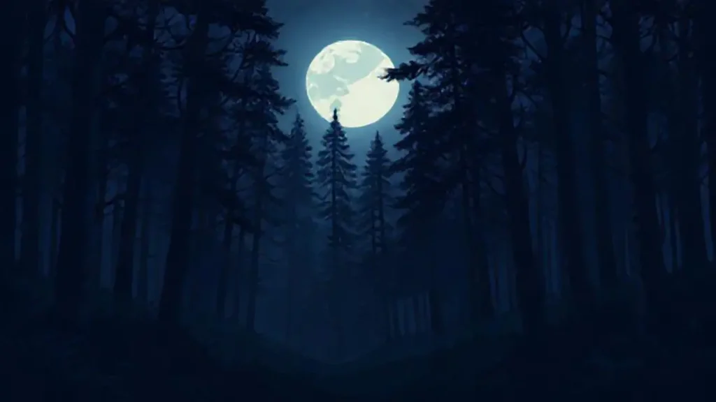 Bosque oscuro