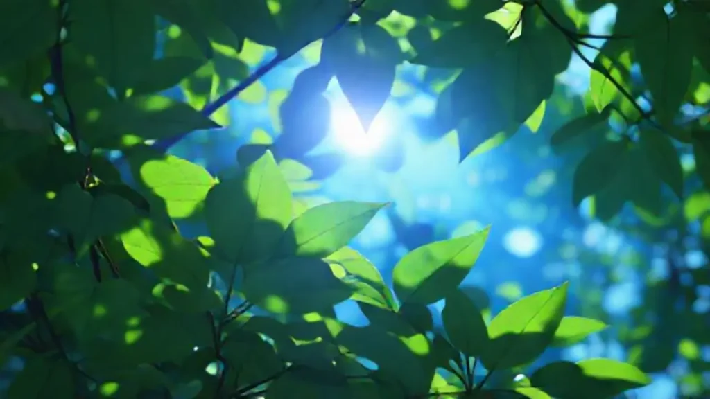 La luz azul atraviesa las hojas