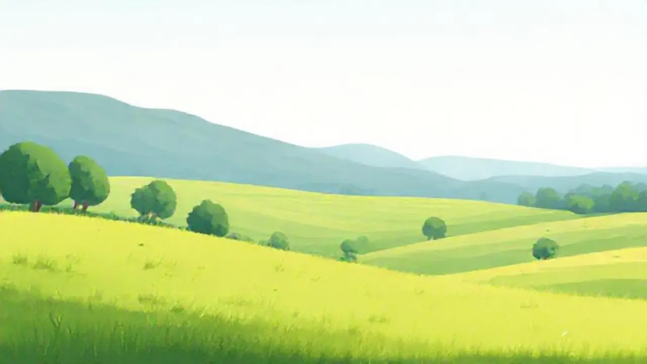 Campo verde tranquilo
