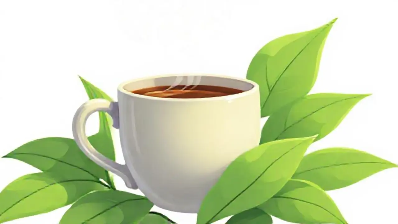 Hojas verdes y café caliente