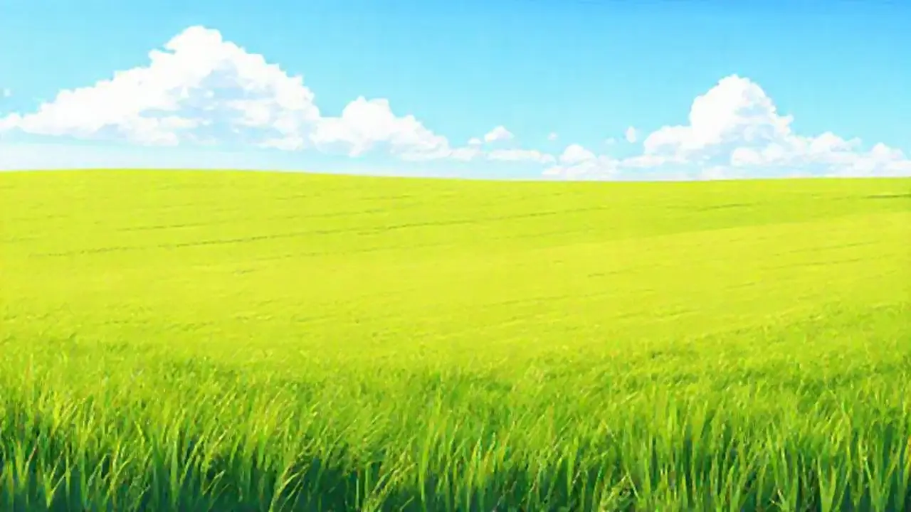 Cielo azul sobre campo verde