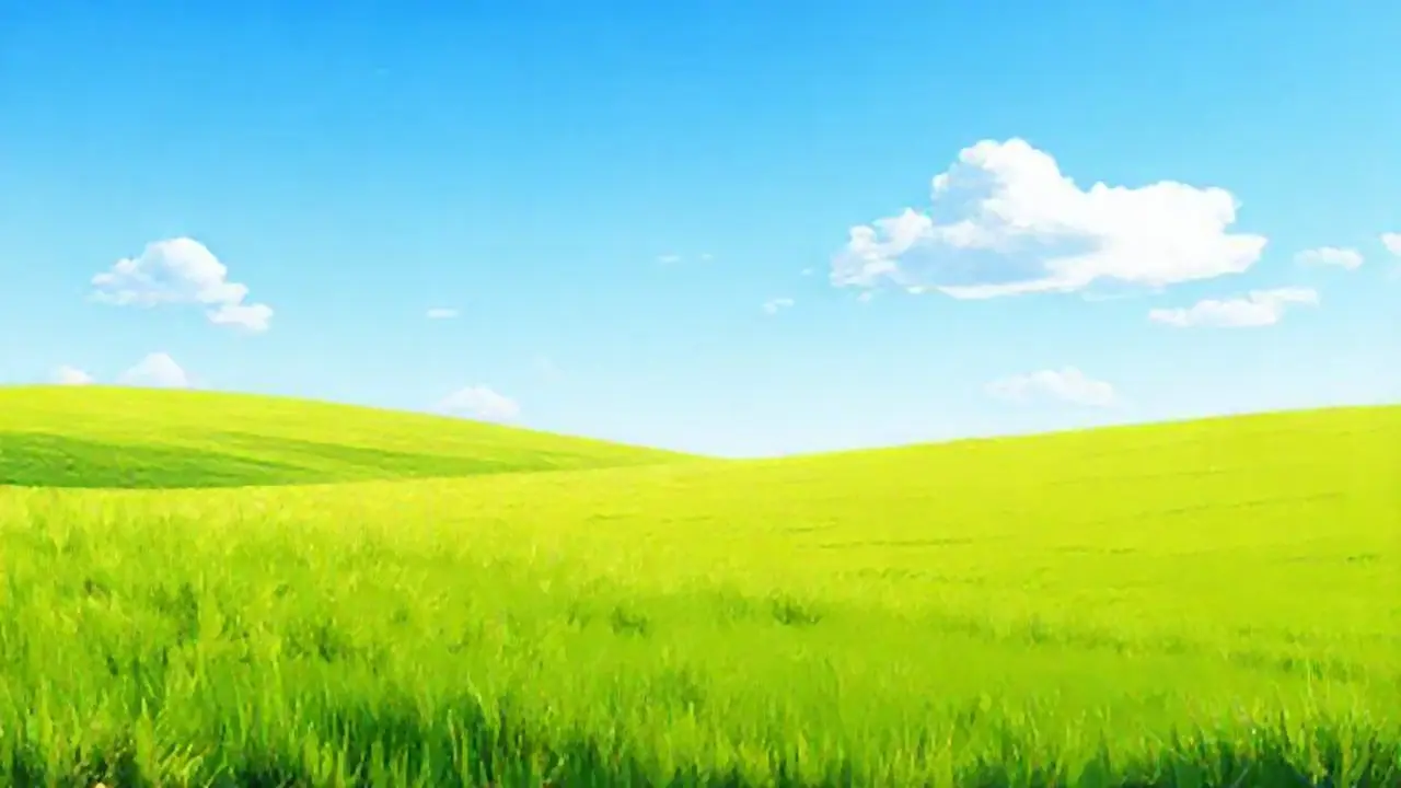 Cielo azul sobre césped verde