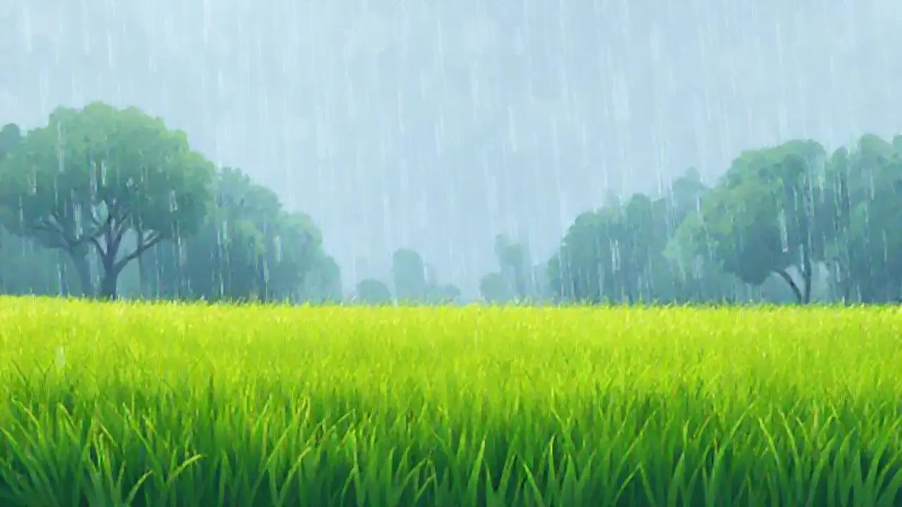 Campo verde, lluvia suave