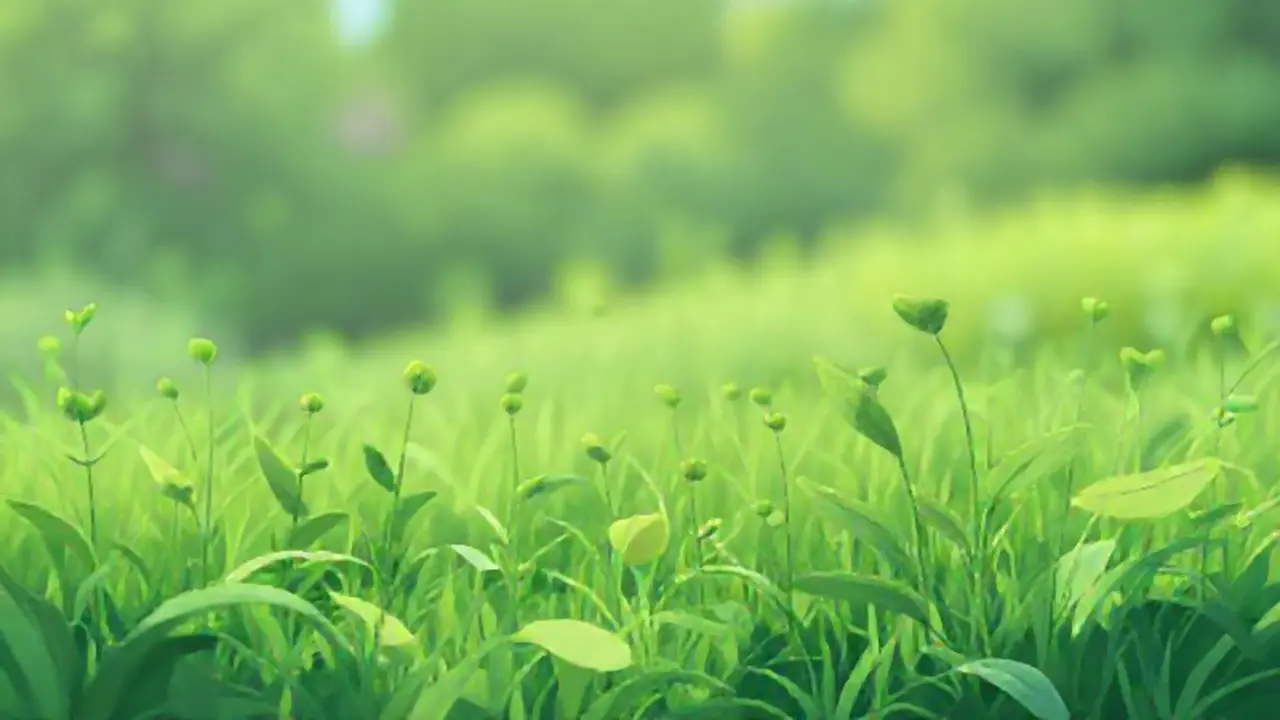 Campo verde con plantas creciendo