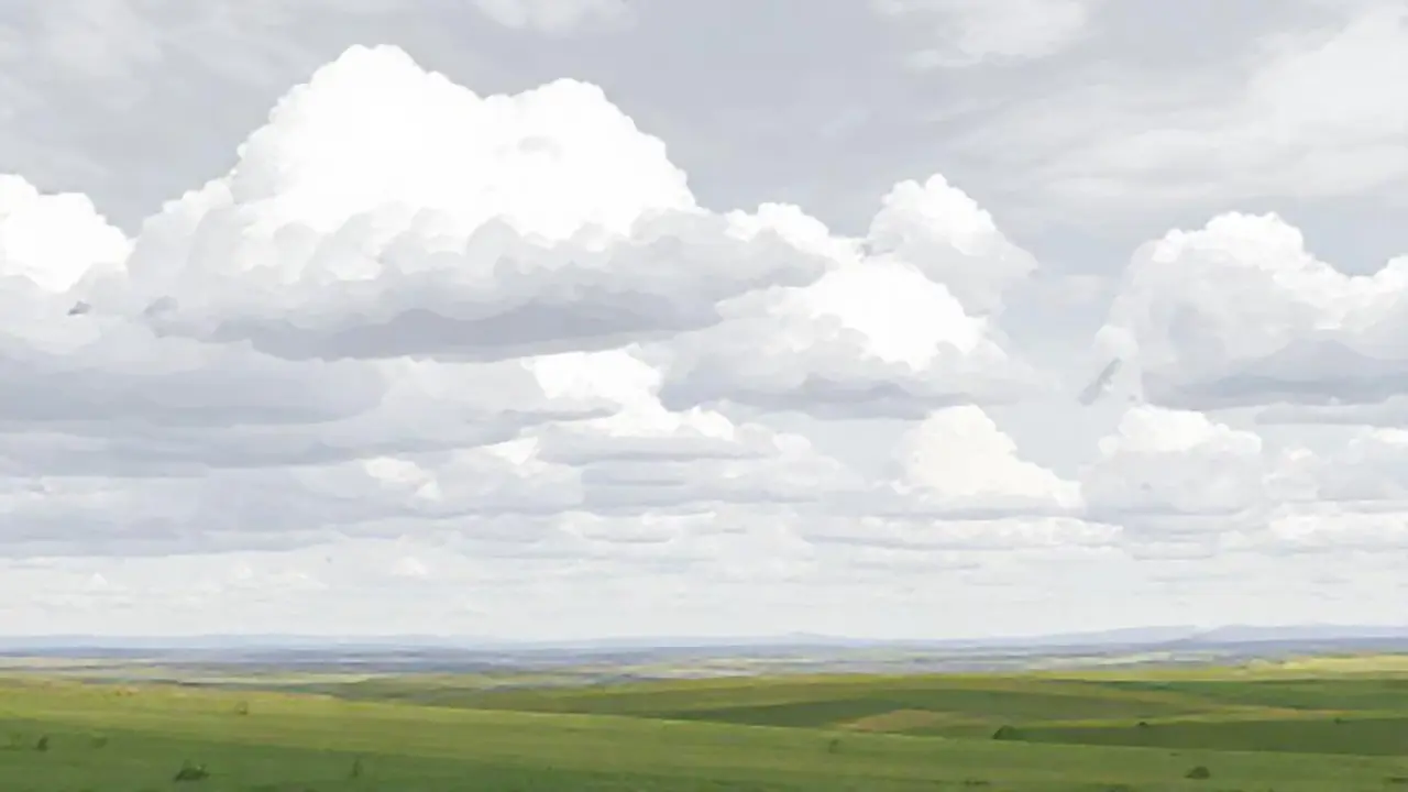 El cielo gris cubría los campos amplios
