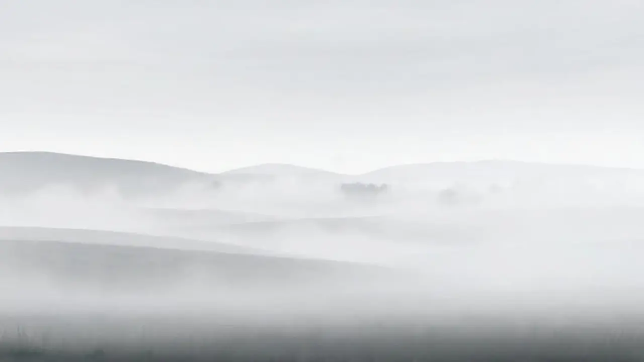 Niebla gris cubre el campo