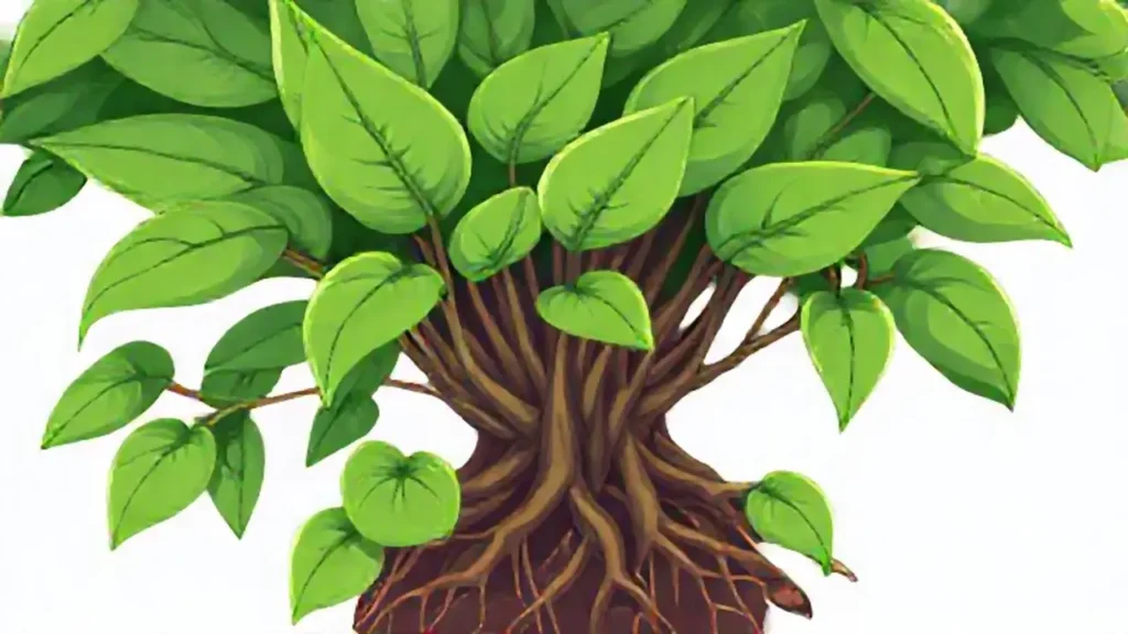 Vida vegetal robusta