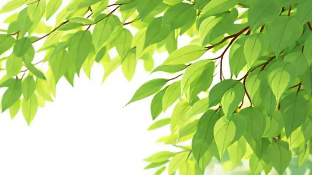 Hojas verdes ondean al viento