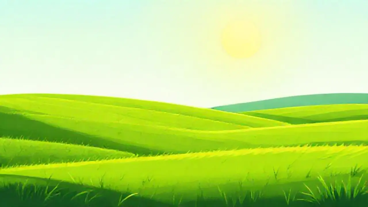 Campos verdes bajo el sol