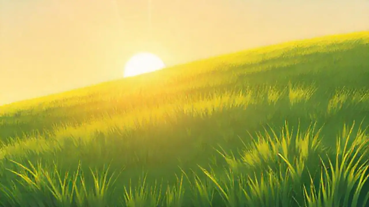 Sol cálido sobre hierba