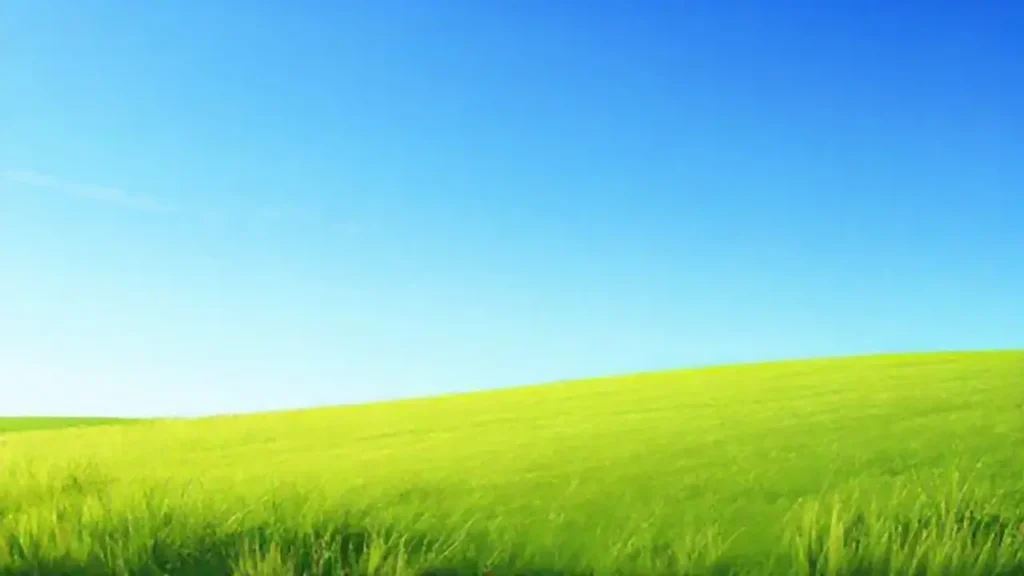 Verde bajo el cielo azul