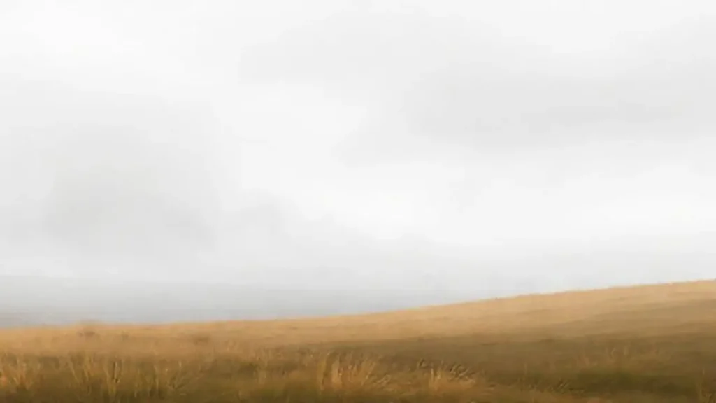 Niebla gris sobre el campo