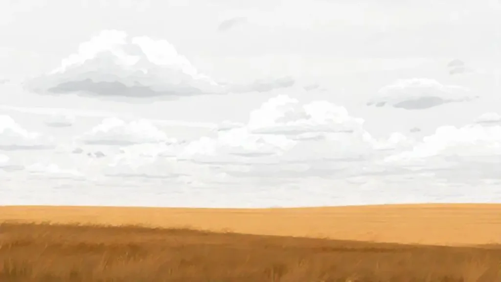 Cielo gris sobre un campo
