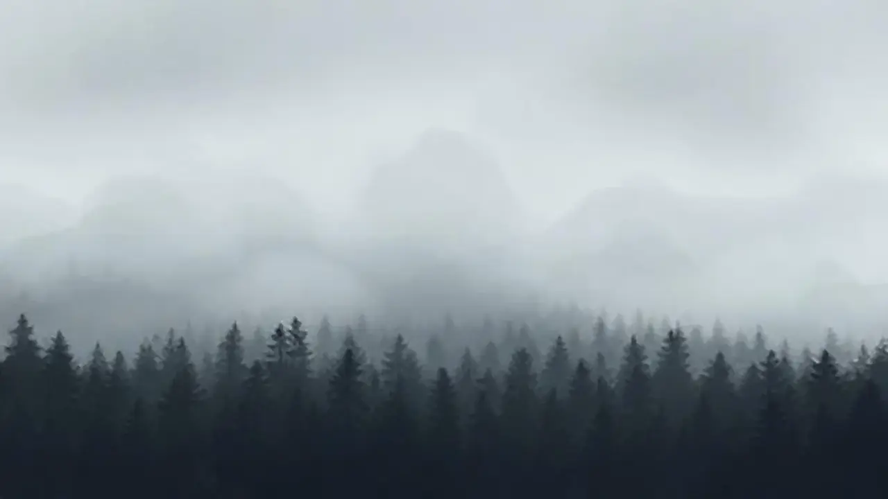 Niebla gris sobre bosque oscuro
