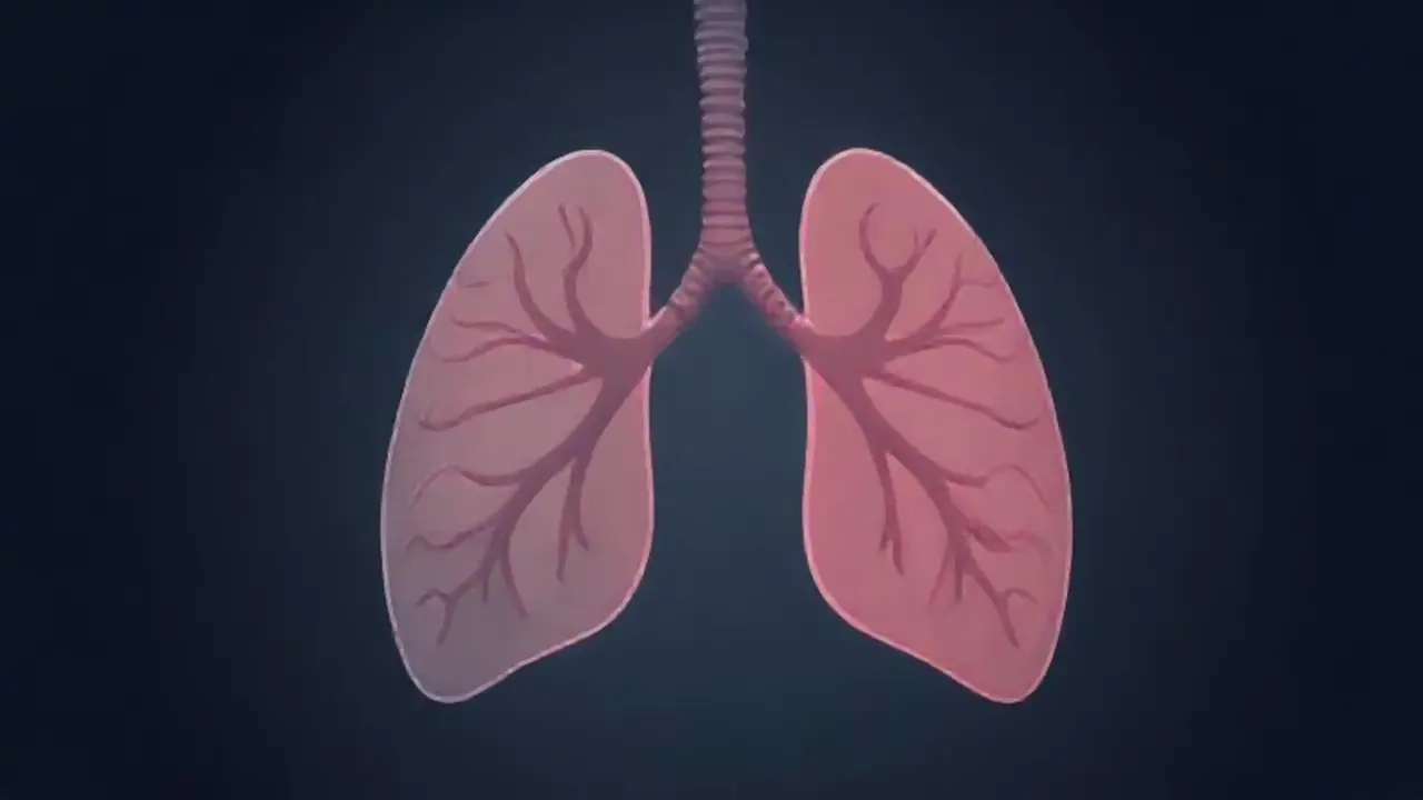 Pulmones sombríos en penumbra