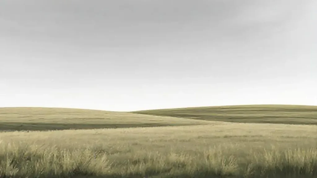 Cielo gris sobre campo vacío