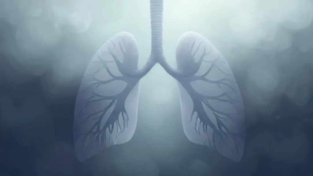 Pulmones grises se desvanecen en la niebla