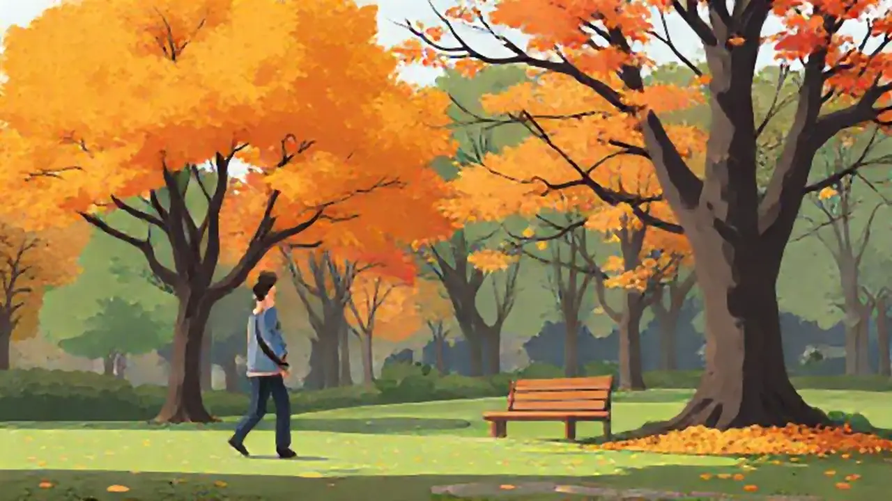 Hombre en parque, hojas otoñales