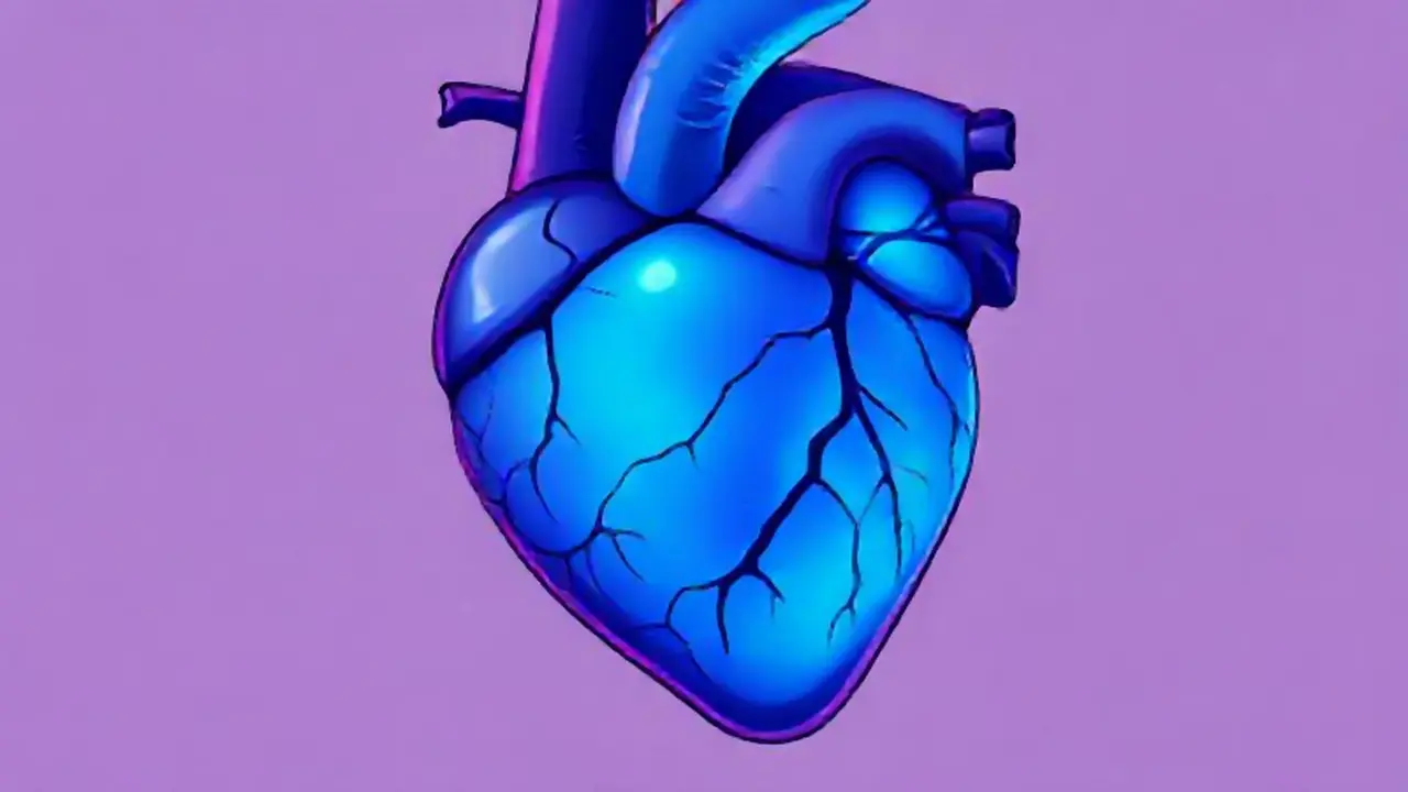 Venas azules en el corazón