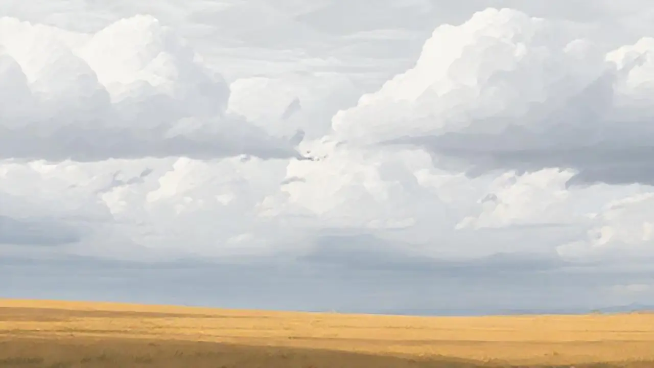 Nubes grises sobre un campo silencioso