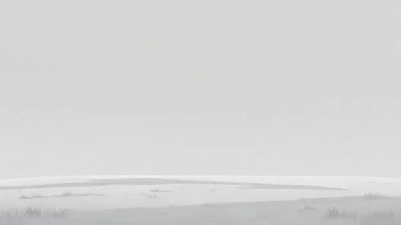 Cielo gris sobre campo vacío