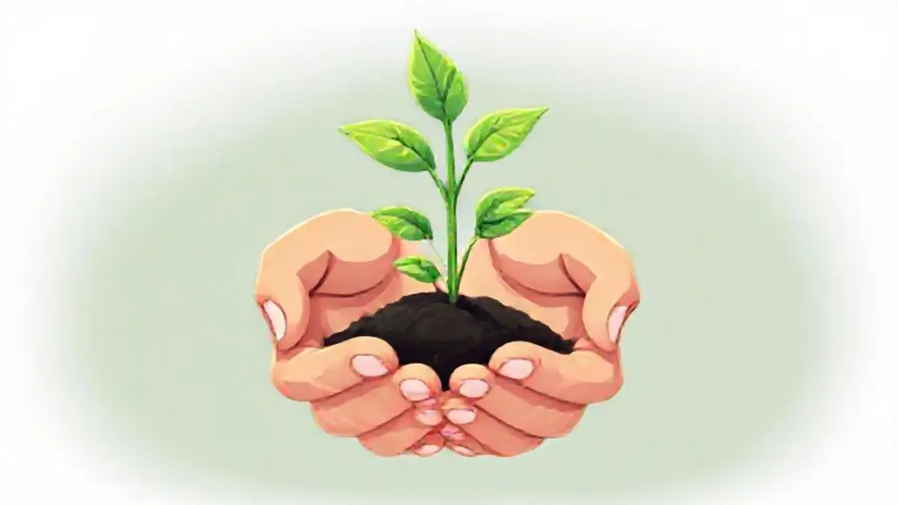 Manos nutren una planta