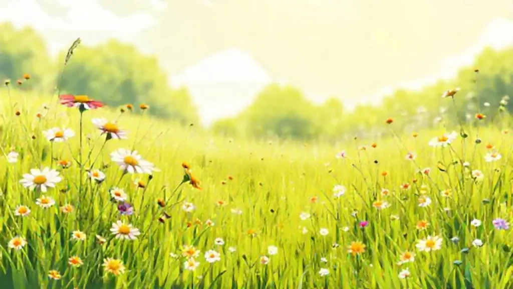 Prado soleado con flores silvestres