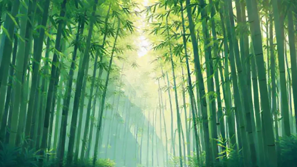Bosque de bambú verde bajo la luz suave