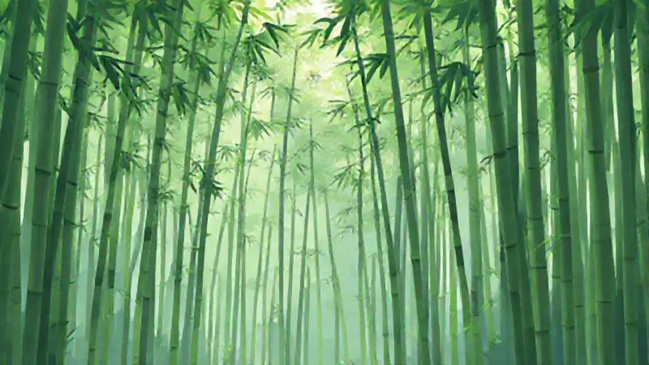 Bosque de bambú verde extendido