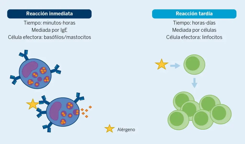 Shots Inmunologicos Pruebas de laboratorio para función inmunológica importantes